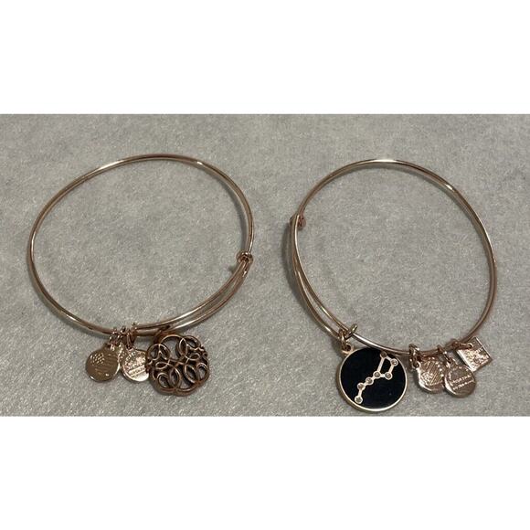 Lot Of 2 Alex And Ani Bracelets Rose Gold Big Dipper, Path Of Life Dangle Charm - Picture 1 of 3